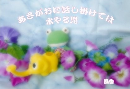 OO006 