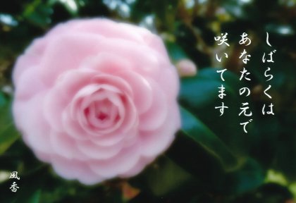 OO020 Ф餯