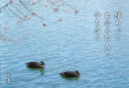 PP002 �濫�ä�