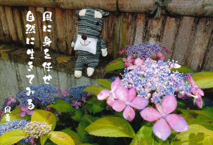 PP005 ���˿Ȥ�