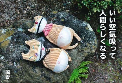 PP007 ��������