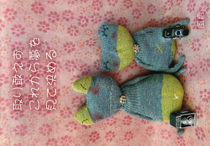 PP015 ��괺����