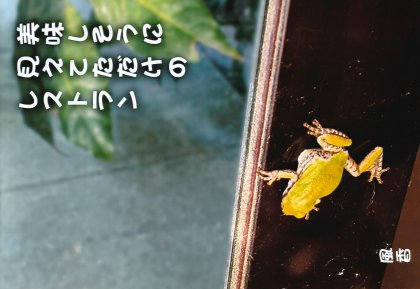 PP016 ��̣������