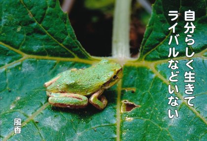 PP018 ��ʬ�餷��