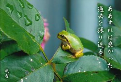 PP019 ���������