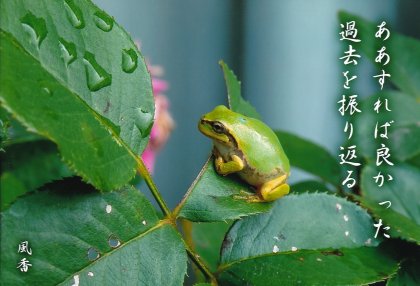 PP019 ���������