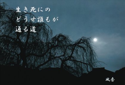 QQ004 ������ˤ�