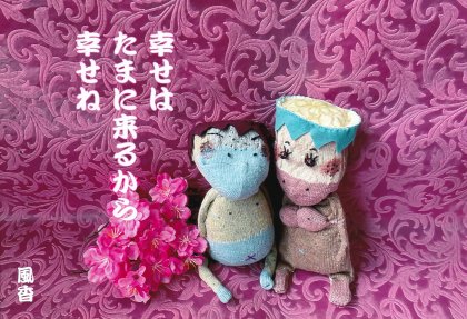 QQ005 ������