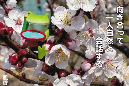 SS002 ������ä�