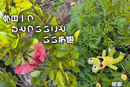SS003 �������
