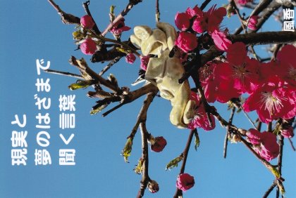 SS004 ����