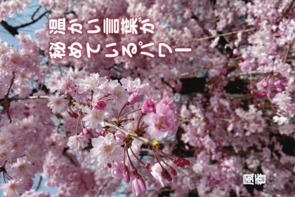 SS009 ����������