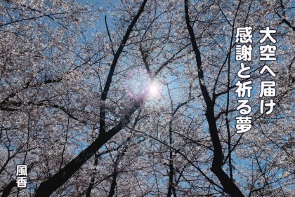 SS011 �����