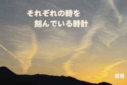 SS015 ���줾��λ�