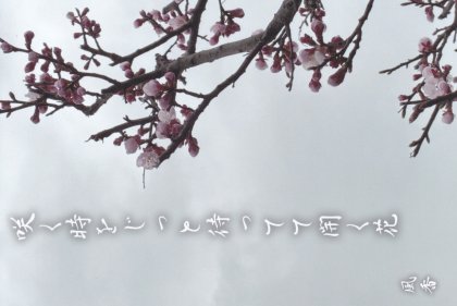 SS016 �餯��