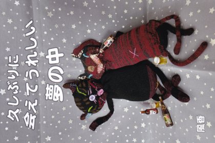TT005 �פ��֤�