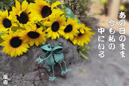 TT017 �������Τޤ�
