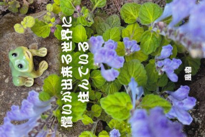 TT020 ����